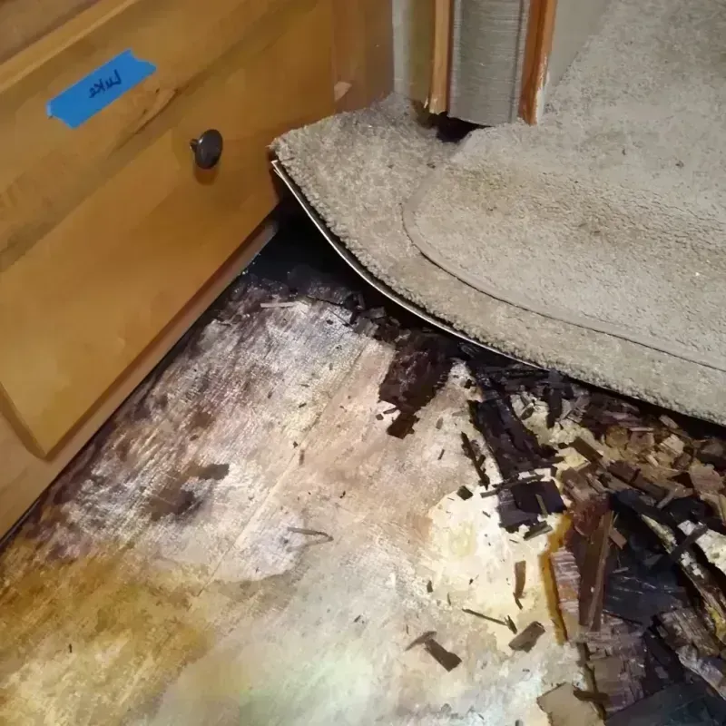 Best Wood Floor Water Damage Service in East Carroll Parish, LA